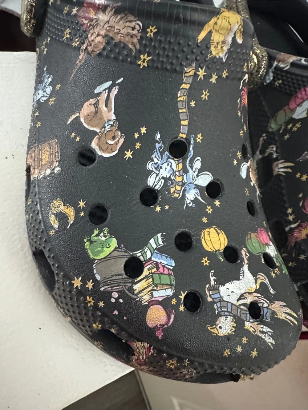 Kids Vera Bradley Harry Potter Crocs